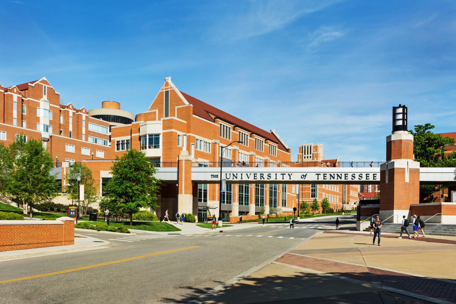 UT Campus background img